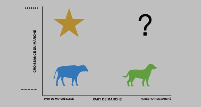 Vache à lait : définition et caractéristiques