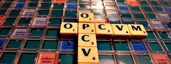 Quelles sont les différentes catégories d’OPCVM ?